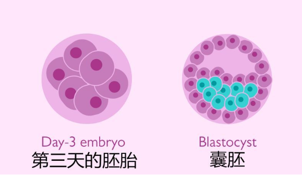 养囊少的原因对于质量有关