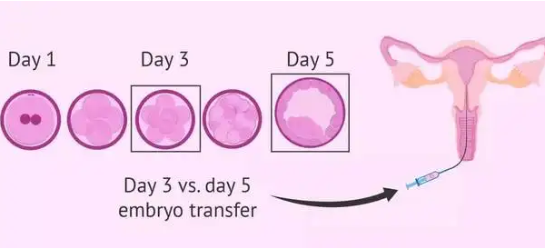 9个胚胎用于养囊很好
