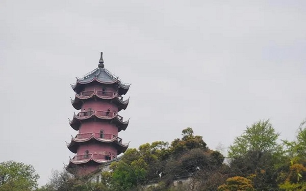 江门中心医院冻胚移植成功率